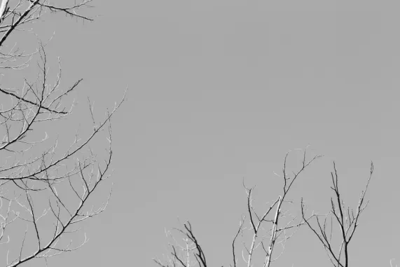 PocketWin Casino Ënnerstëtzung